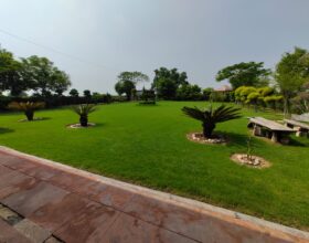 WhatsApp Image 2025-06-15 at 3.36.41 PM (1)