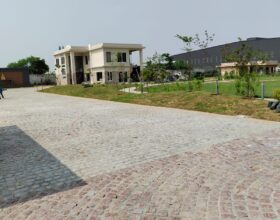 WhatsApp Image 2025-06-15 at 3.36.45 PM