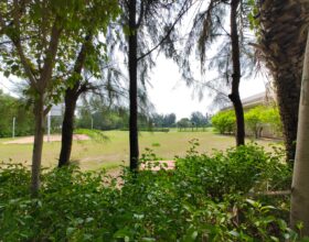 WhatsApp Image 2025-06-15 at 3.36.48 PM (1)